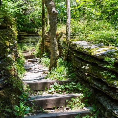 Parc National De Tayrona - Old Stone Stairs A Découvrir en Colombie - Le Parc National de Tayrona