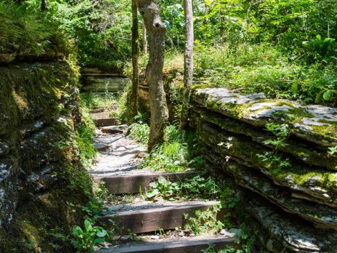 Parc National De Tayrona - Old Stone Stairs A Découvrir en Colombie - Le Parc National de Tayrona