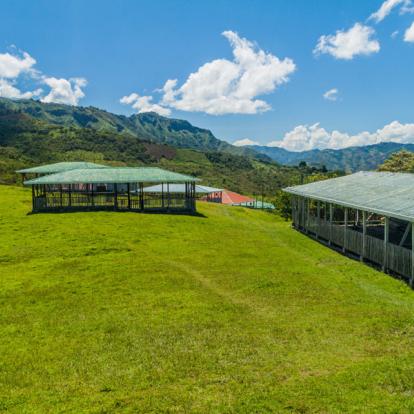 Tierradentro - Colline De Segovie A Découvrir en Colombie - Le Parc Archéologique de Tierradentro