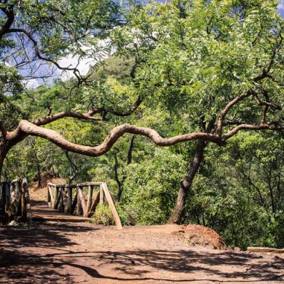 Belo Horizonte - Mangabeiras Park A Découvrir au Bresil - Belo Horizonte
