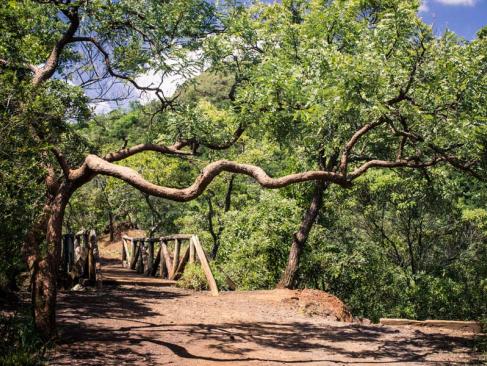 Belo Horizonte - Mangabeiras Park A Découvrir au Bresil - Belo Horizonte