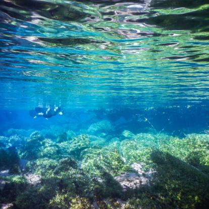 A Découvrir au Brésil - Bonito