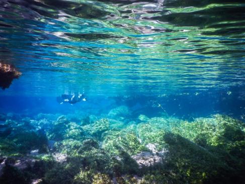 A Découvrir au Brésil - Bonito