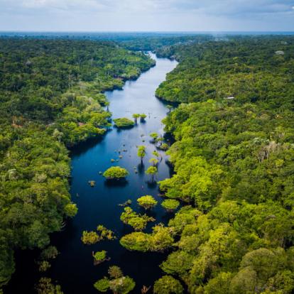 A Découvrir au Brésil - L’Amazonie