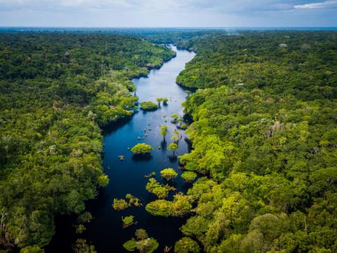 A Découvrir au Brésil - L’Amazonie
