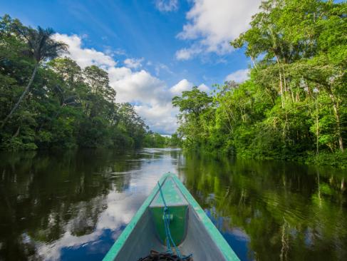 A Découvrir au Brésil - L’Amazonie