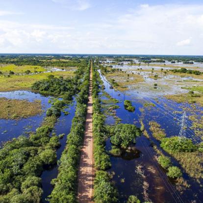 A Découvrir au Brésil - Le Pantanal
