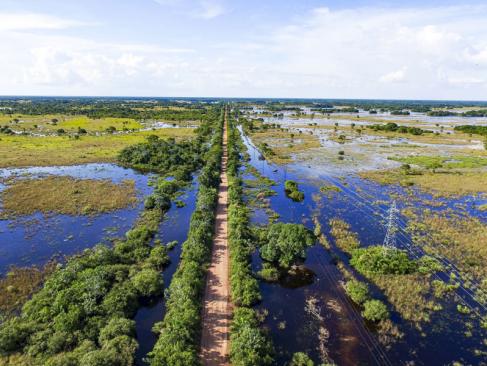 A Découvrir au Brésil - Le Pantanal