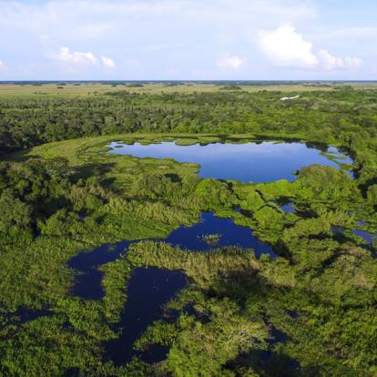 A Découvrir au Brésil - Le Pantanal