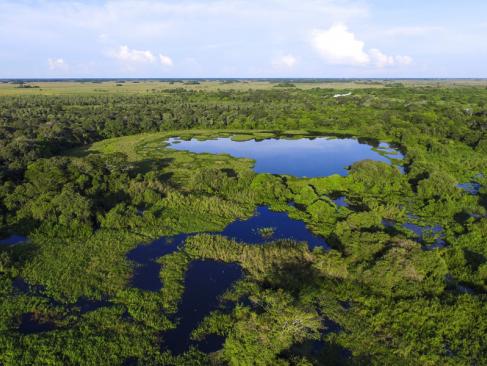 A Découvrir au Brésil - Le Pantanal