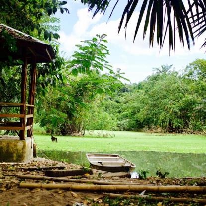 A Découvrir au Brésil - Manaus