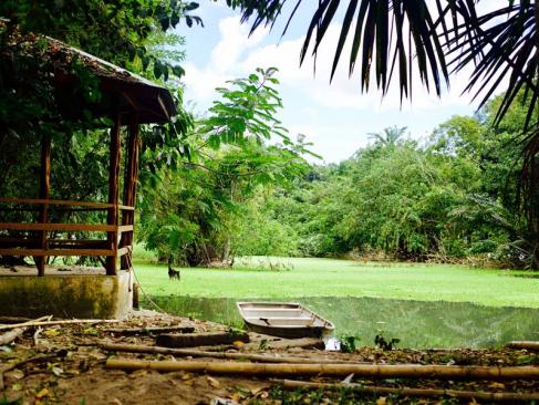 A Découvrir au Brésil - Manaus