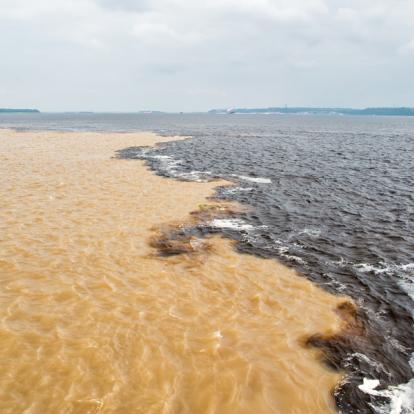 A Découvrir au Brésil - Manaus