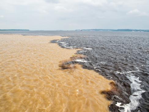 A Découvrir au Brésil - Manaus