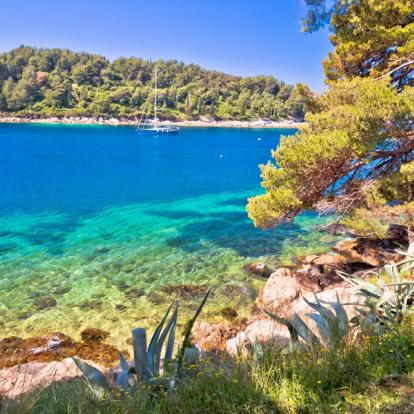 A Découvrir en Croatie - Cavtat