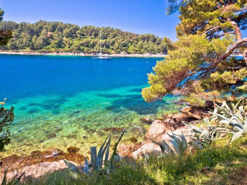 A Découvrir en Croatie - Cavtat