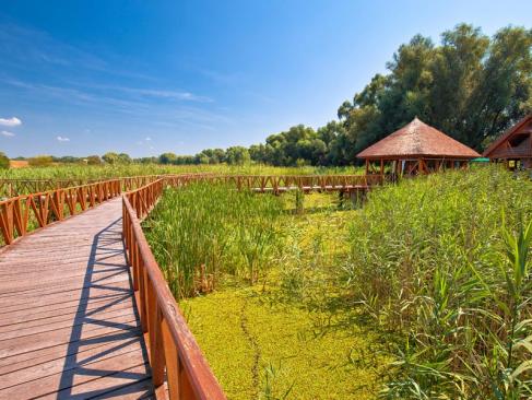 A Découvrir en Croatie - Le Parc de Kopacki Ri