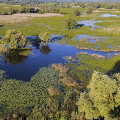 A Découvrir en Croatie - Le Parc de Kopacki Ri