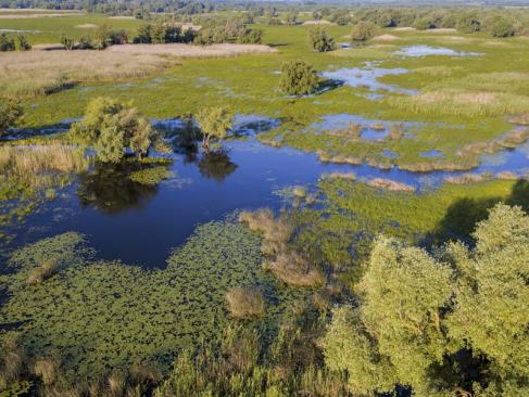 A Découvrir en Croatie - Le Parc de Kopacki Ri