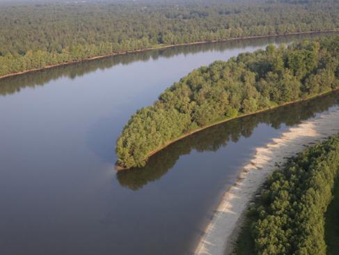 A Découvrir en Croatie - Le Parc de Kopacki Ri