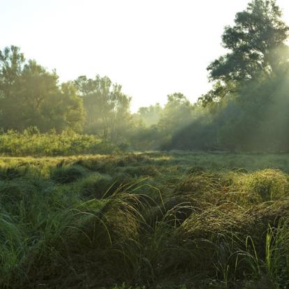 A Découvrir en Croatie - Le Parc de Kopački Rit