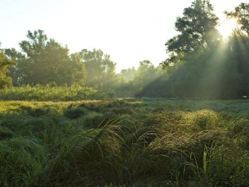 A Découvrir en Croatie - Le Parc de Kopački Rit