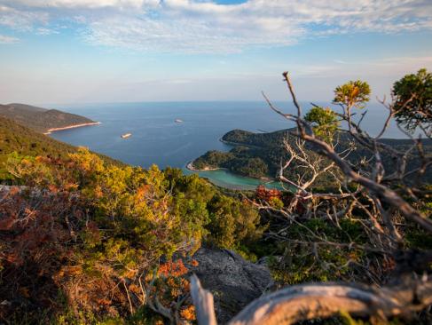 A Découvrir en Croatie - Le Parc national de Mljet
