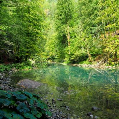 Parc National De Risnjak A Découvrir en Croatie - Le Parc national de Risnjak