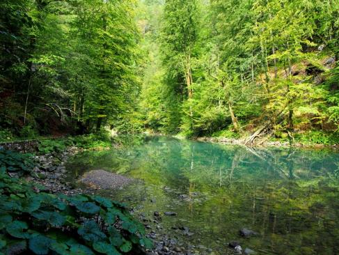 Parc National De Risnjak A Découvrir en Croatie - Le Parc national de Risnjak
