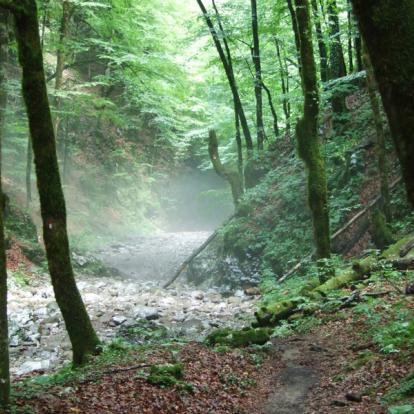 Parc National De Risnjak A Découvrir en Croatie - Le Parc national de Risnjak