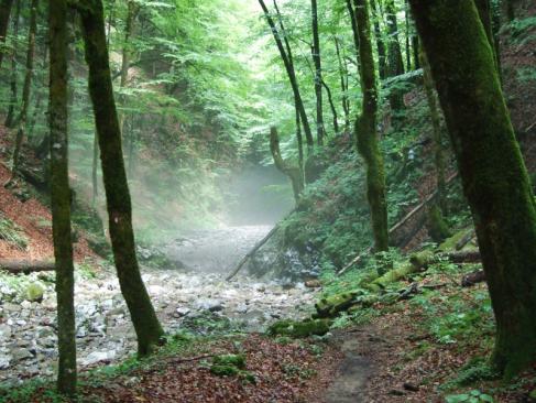 Parc National De Risnjak A Découvrir en Croatie - Le Parc national de Risnjak