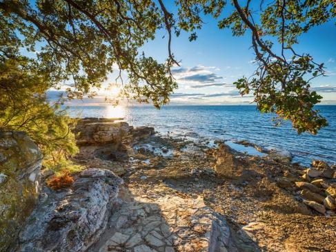 A Découvrir en Croatie - Umag