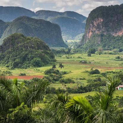 Viinales - Mogotes A Découvrir à Cuba - La Vallée de Vinales