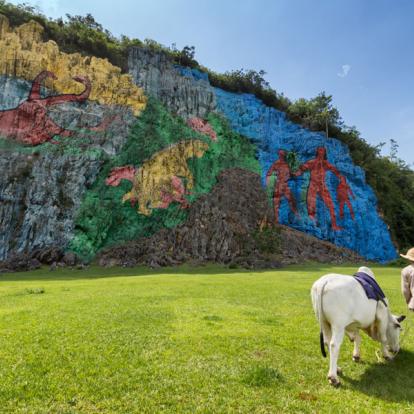 Vinales - Mur de la Préhistoire A Découvrir à Cuba - La Vallée de Vinales