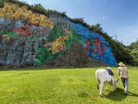 Vinales - Mur De La Préhistoire A Découvrir à Cuba - La Vallée de Vinales
