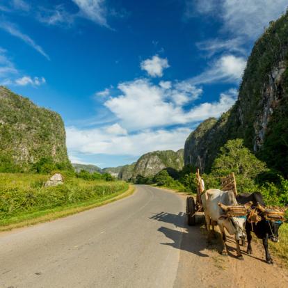 Vinales A Découvrir à Cuba - La Vallée de Vinales