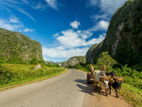 Vinales A Découvrir à Cuba - La Vallée de Vinales