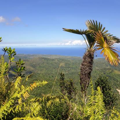 El Yunke A Découvrir à Cuba - Baracoa