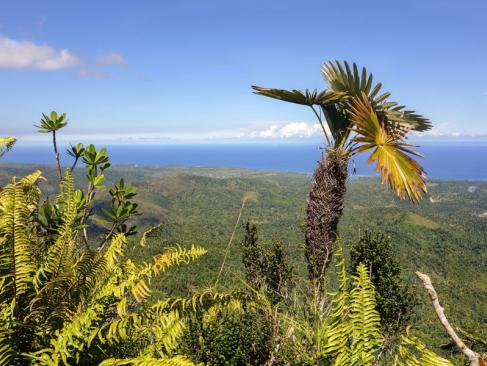 El Yunke A Découvrir à Cuba - Baracoa