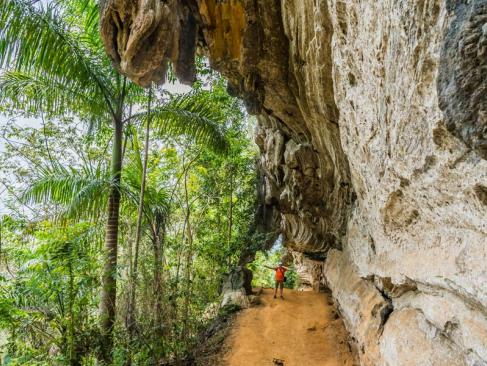 Topes De Collantes A Découvrir à Cuba - Topes de Collantes