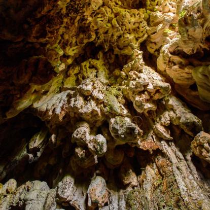 Topes De Collantes - Grottes A Découvrir à Cuba - Topes de Collantes