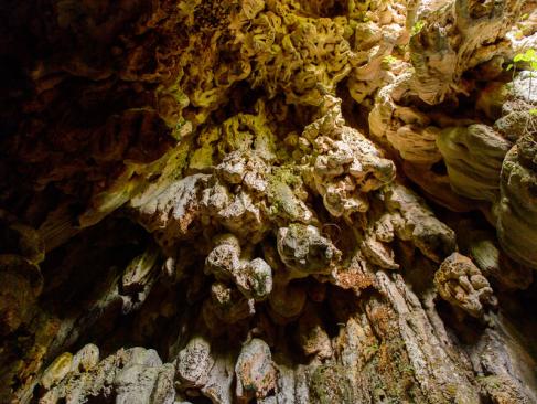 Topes De Collantes - Grottes A Découvrir à Cuba - Topes de Collantes