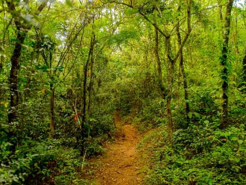 Topes De Collantes A Découvrir à Cuba - Topes de Collantes