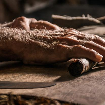 Pinar del Rio - Tabac A Découvrir à Cuba - Pinar del Rio