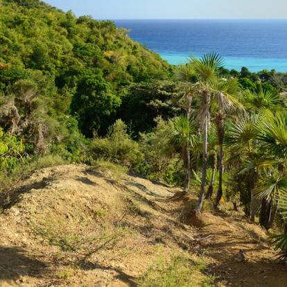 Pico Turquino A Découvrir à Cuba - Le Pico Turquino