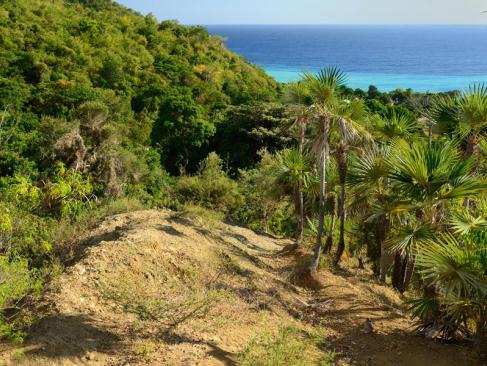 Pico Turquino A Découvrir à Cuba - Le Pico Turquino