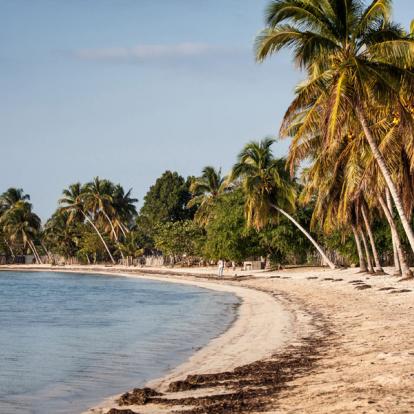Baie Des Cochon - Playa Larga Beach A Découvrir à Cuba -  La province de Matanzas