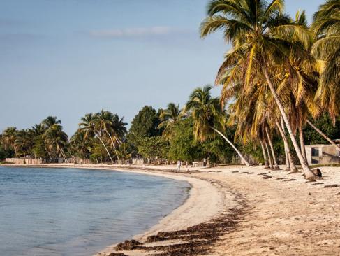 Baie Des Cochon - Playa Larga Beach A Découvrir à Cuba -  La province de Matanzas