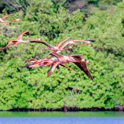Lac Guanaroca A Découvrir à Cuba - Cienfuegos