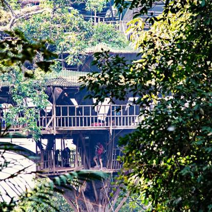 Cabane Dans Les Arbres - Gibbon Experience A Découvrir au Laos - La réserve naturelle de Bokeo